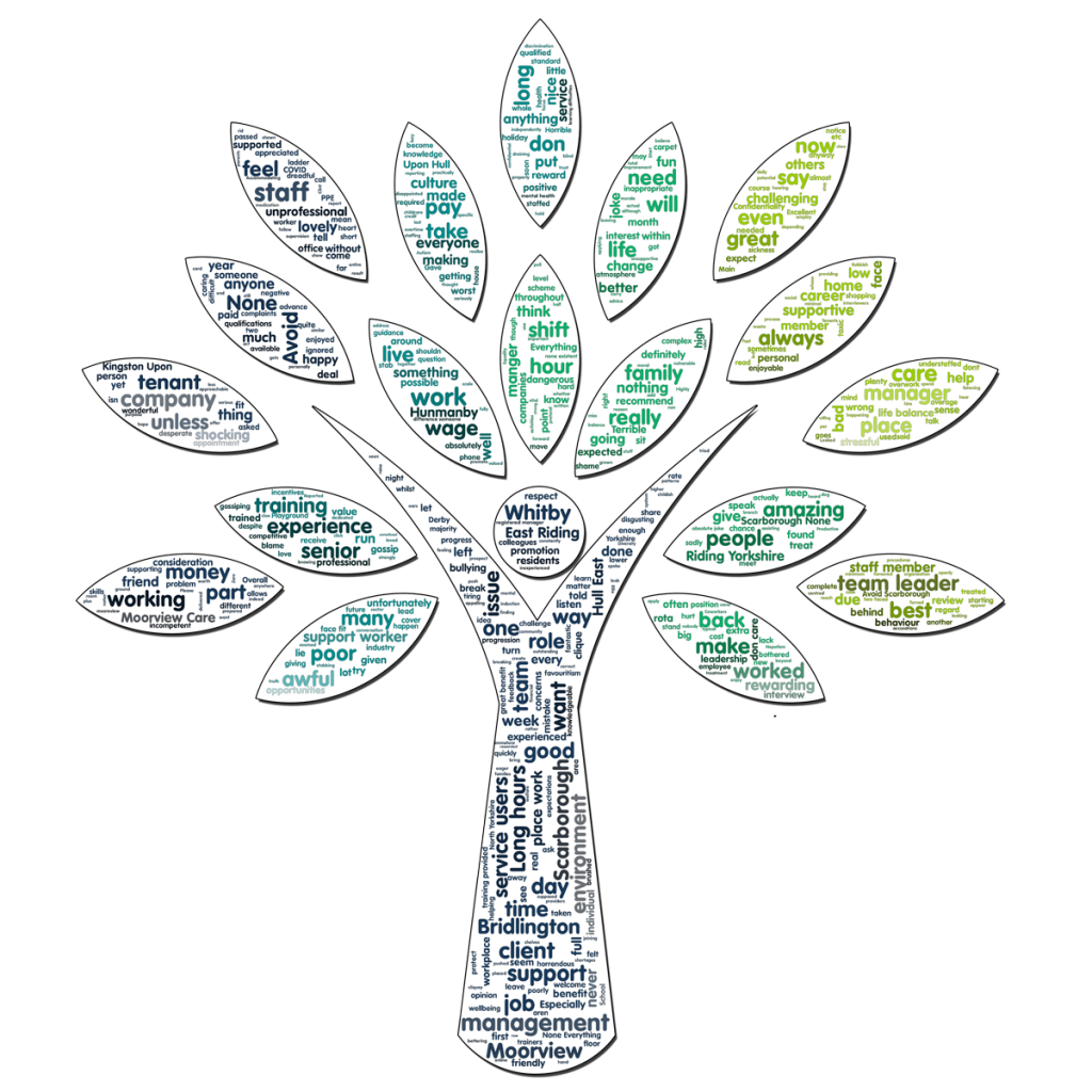 A tag cloud in the shape of Moorview's tree containing words from all their reviews, scaled by the frequency they appear.